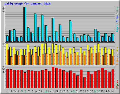 Daily usage for January 2019