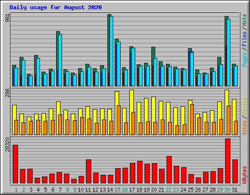 Daily usage for August 2020