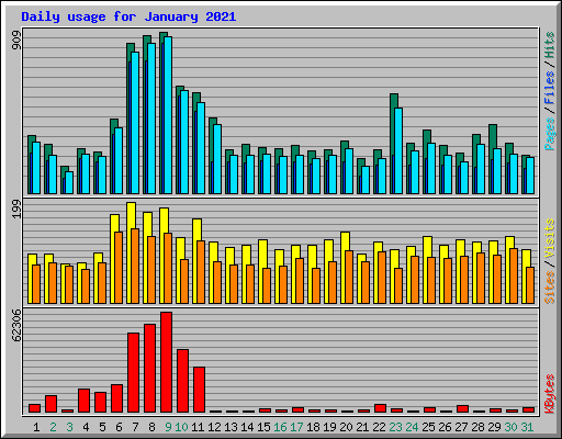 Daily usage for January 2021