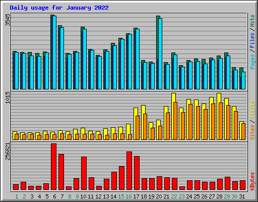 Daily usage for January 2022