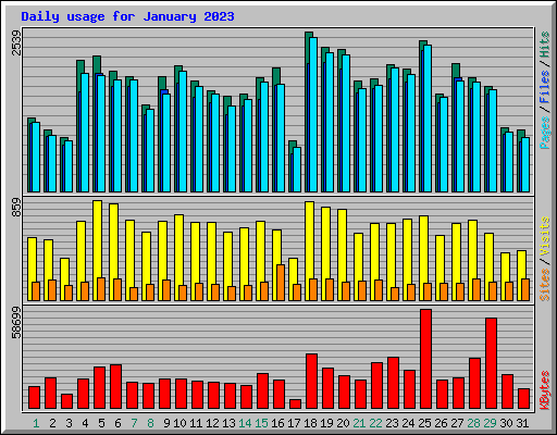 Daily usage for January 2023