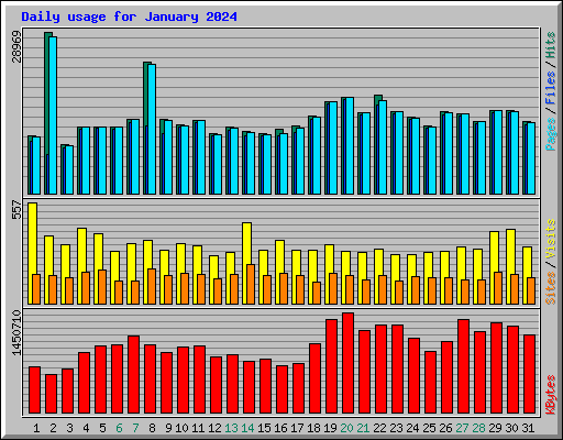 Daily usage for January 2024
