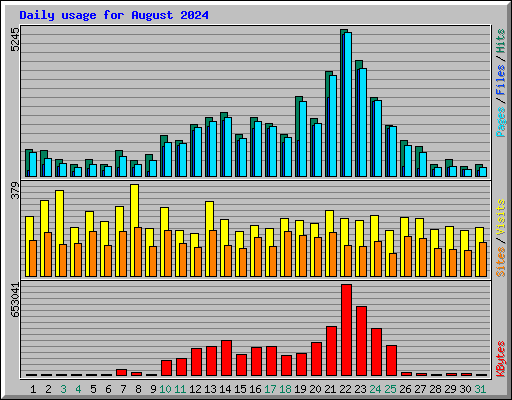 Daily usage for August 2024