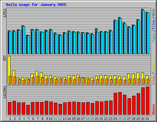 Daily usage for January 2025