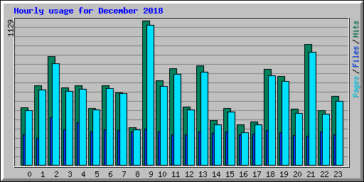 Hourly usage for December 2018