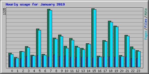 Hourly usage for January 2019
