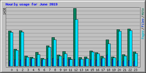 Hourly usage for June 2019