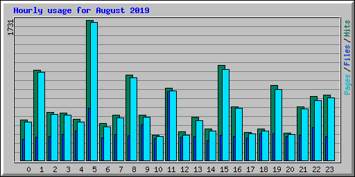Hourly usage for August 2019
