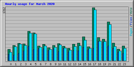 Hourly usage for March 2020