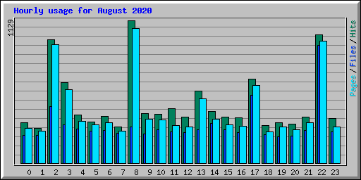 Hourly usage for August 2020