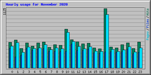 Hourly usage for November 2020