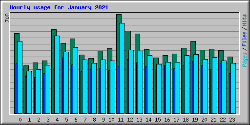 Hourly usage for January 2021