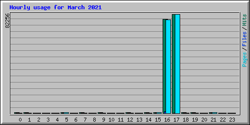 Hourly usage for March 2021