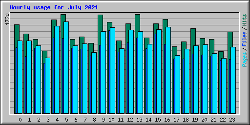 Hourly usage for July 2021