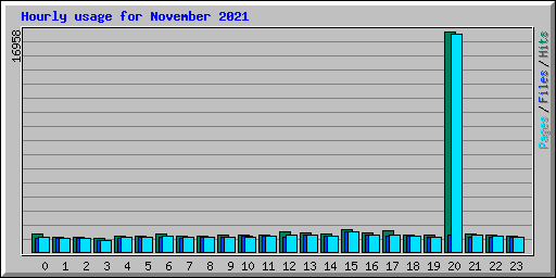 Hourly usage for November 2021