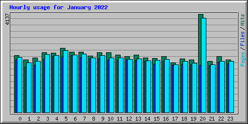 Hourly usage for January 2022