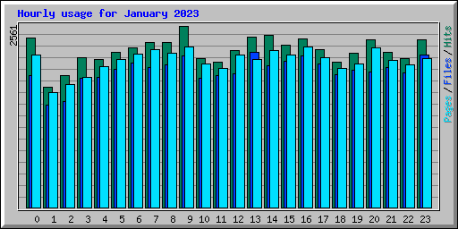 Hourly usage for January 2023