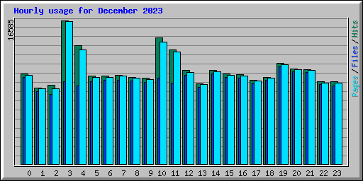 Hourly usage for December 2023