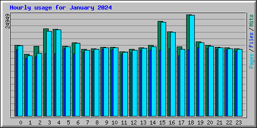 Hourly usage for January 2024