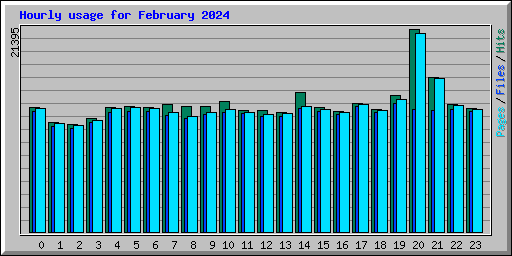 Hourly usage for February 2024