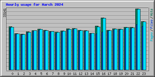 Hourly usage for March 2024