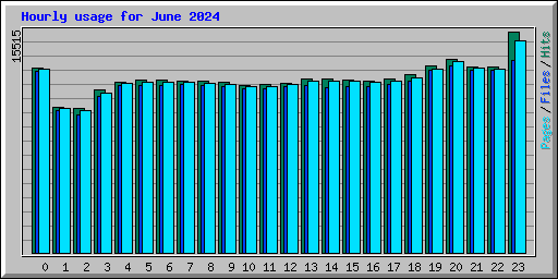 Hourly usage for June 2024