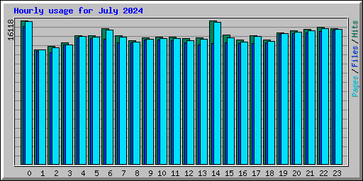 Hourly usage for July 2024