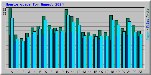 Hourly usage for August 2024