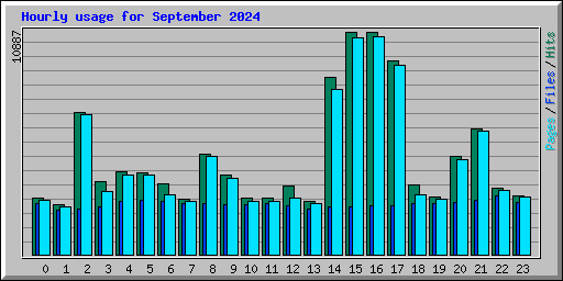 Hourly usage for September 2024