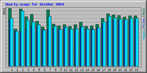Hourly usage for October 2024