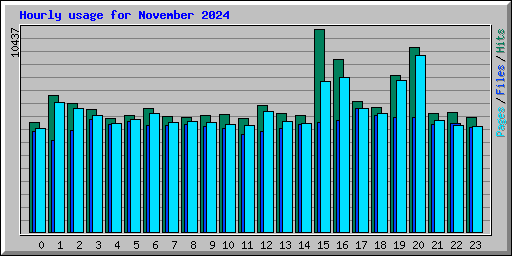 Hourly usage for November 2024