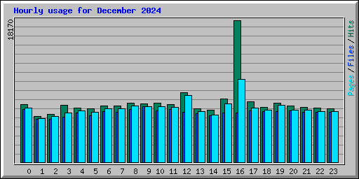 Hourly usage for December 2024
