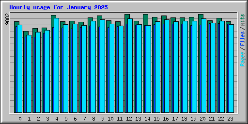 Hourly usage for January 2025