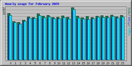 Hourly usage for February 2025
