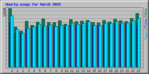 Hourly usage for March 2025